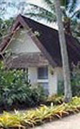 The Little Polynesian