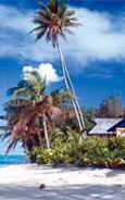 Palm Grove Lodges