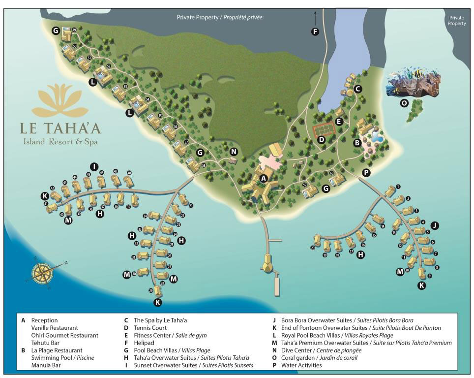 Buceo en Polinesia: Tiburones, PADI, snorkel, fotografia - Forum Oceania